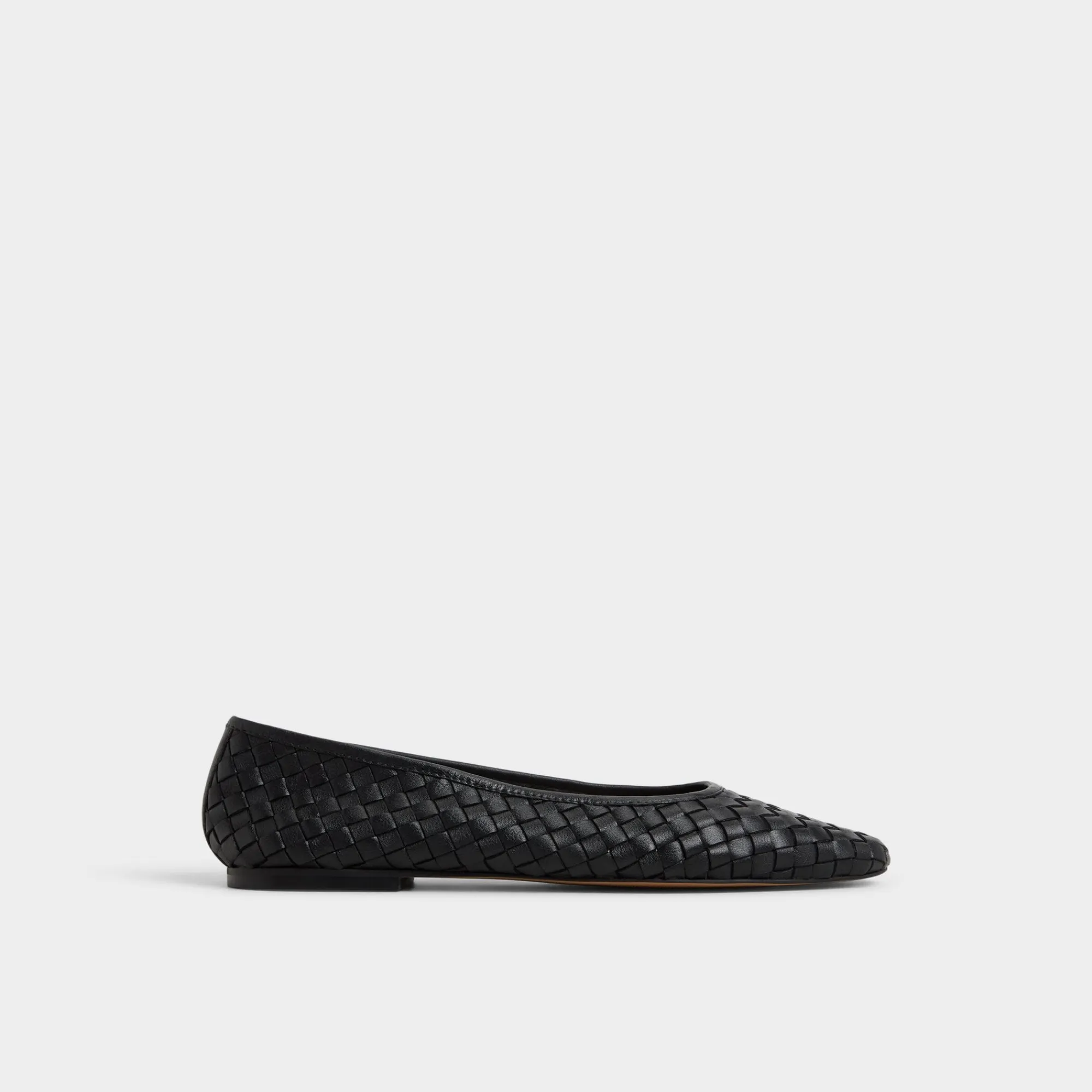 Ballet Flats^ALDO Adrabrinna Black