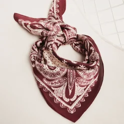Accessories^ALDO Bernadete Bordo