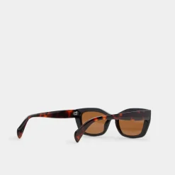 Accessories|Sunglasses^ALDO Calaberynx Black