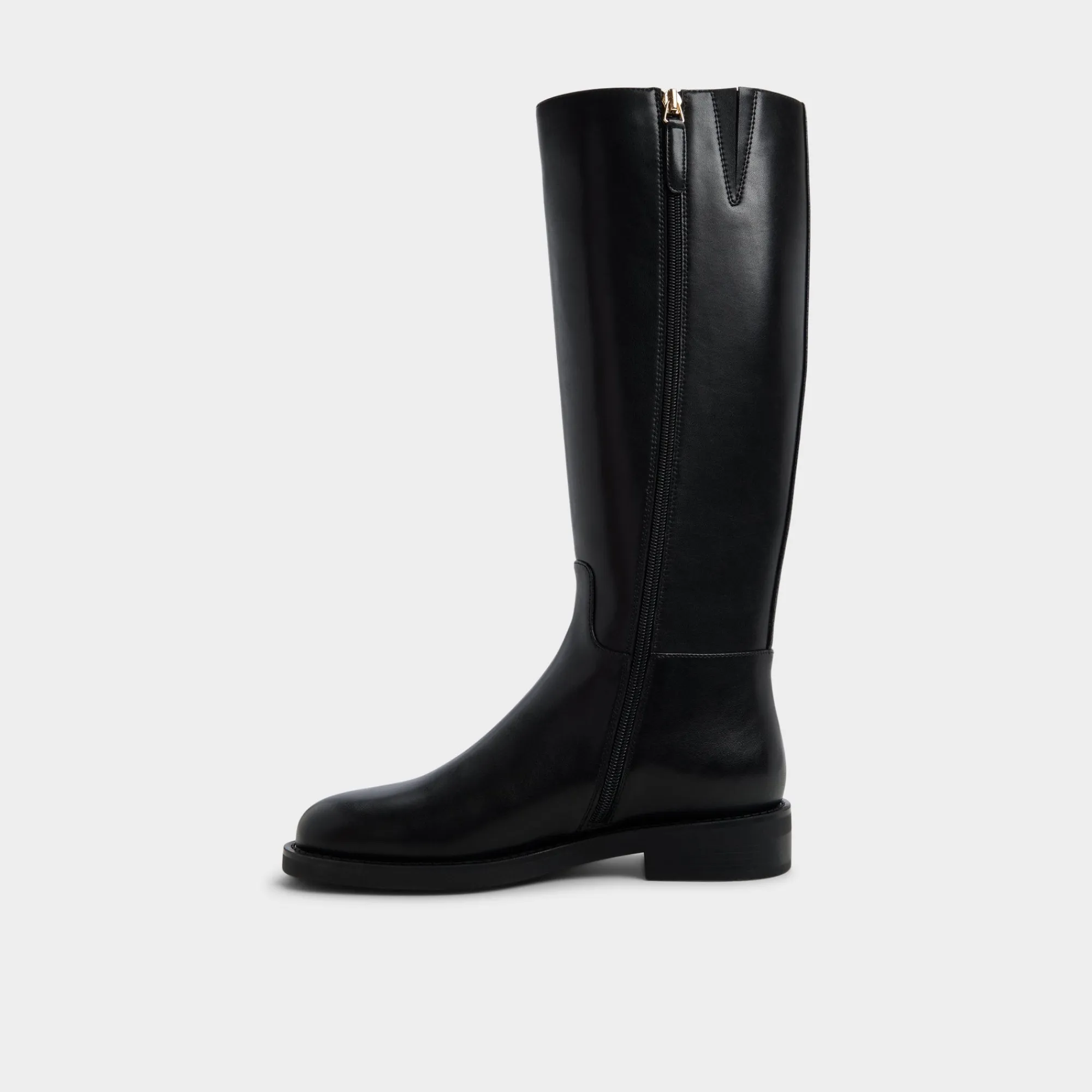 Black Boots|Tall Boots^ALDO Charley Black