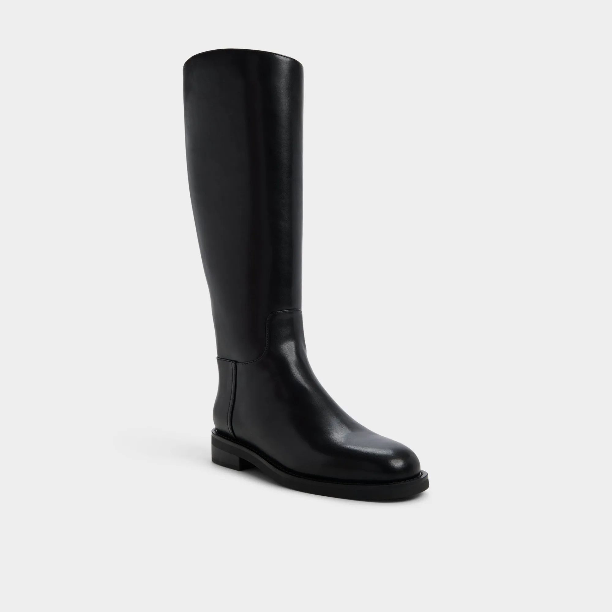 Black Boots|Tall Boots^ALDO Charley Black