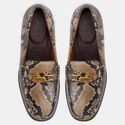 Loafers|Dress Shoes^ALDO Edouard Brown multi
