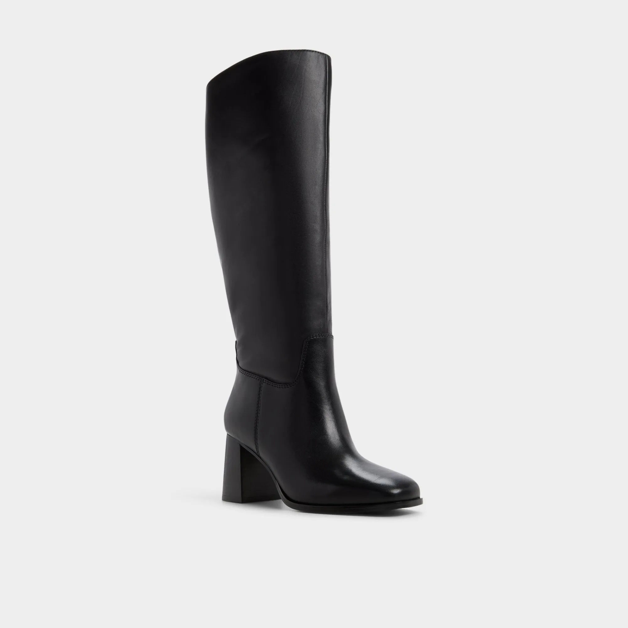 Black Boots|Tall Boots^ALDO Elyze-wc Black