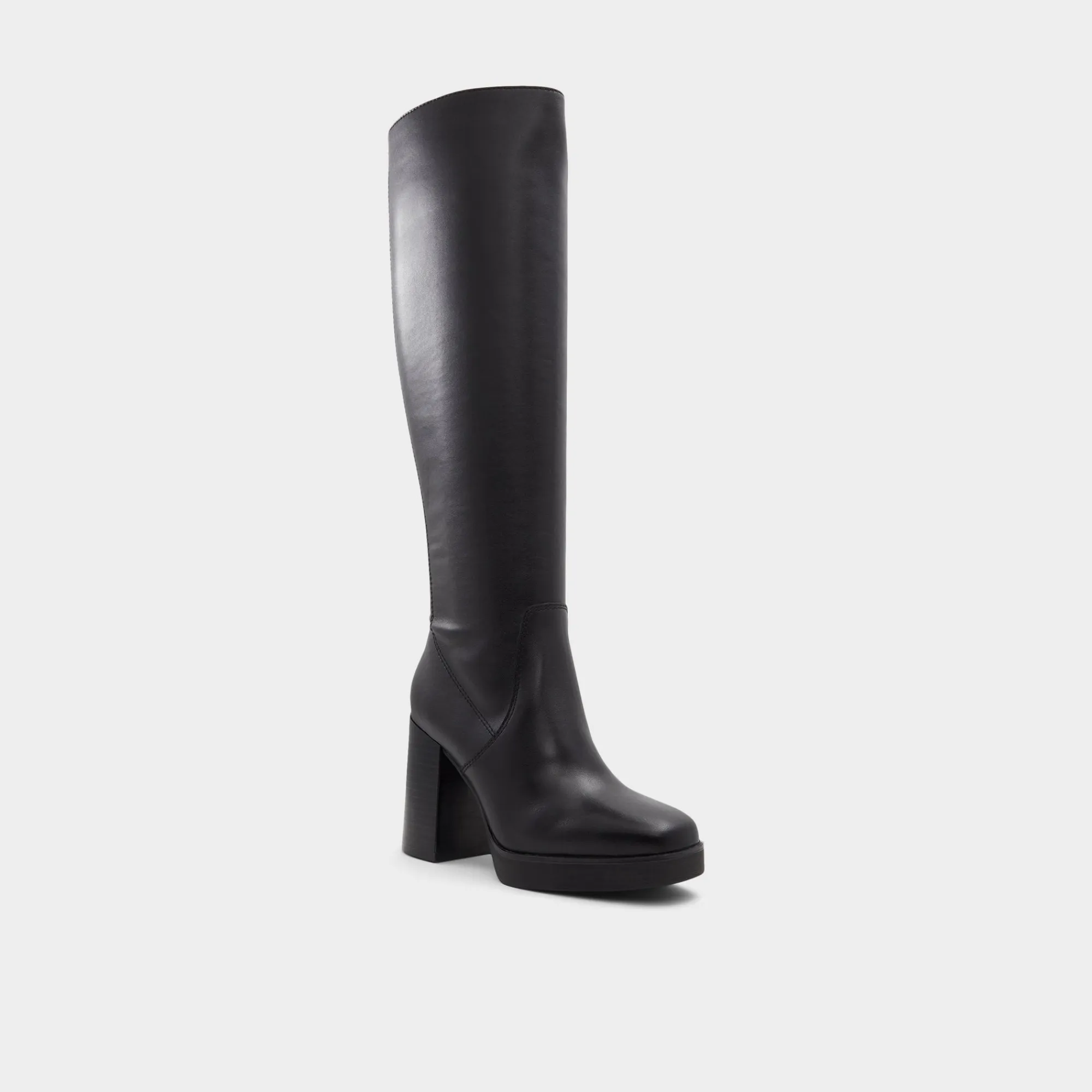 Tall Boots^ALDO Equine Black