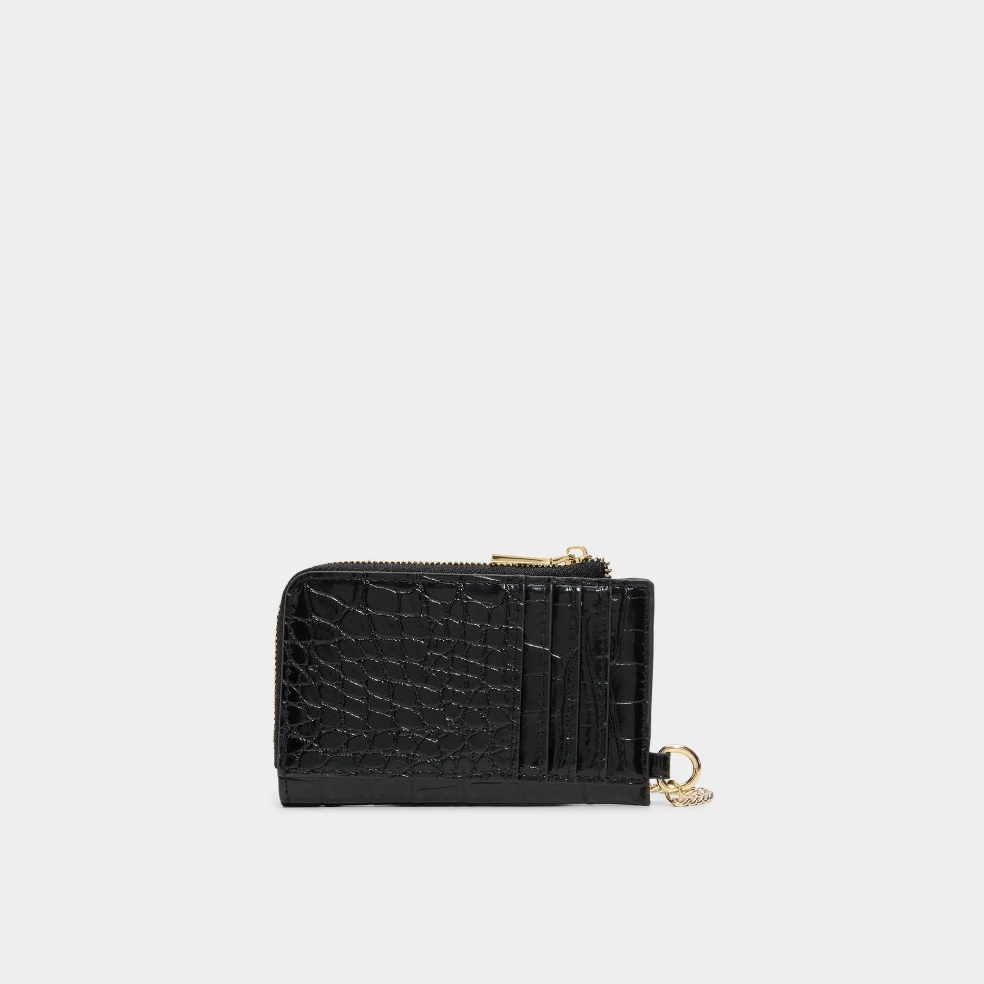 Bags|Wallets^ALDO Everythingcardd Black