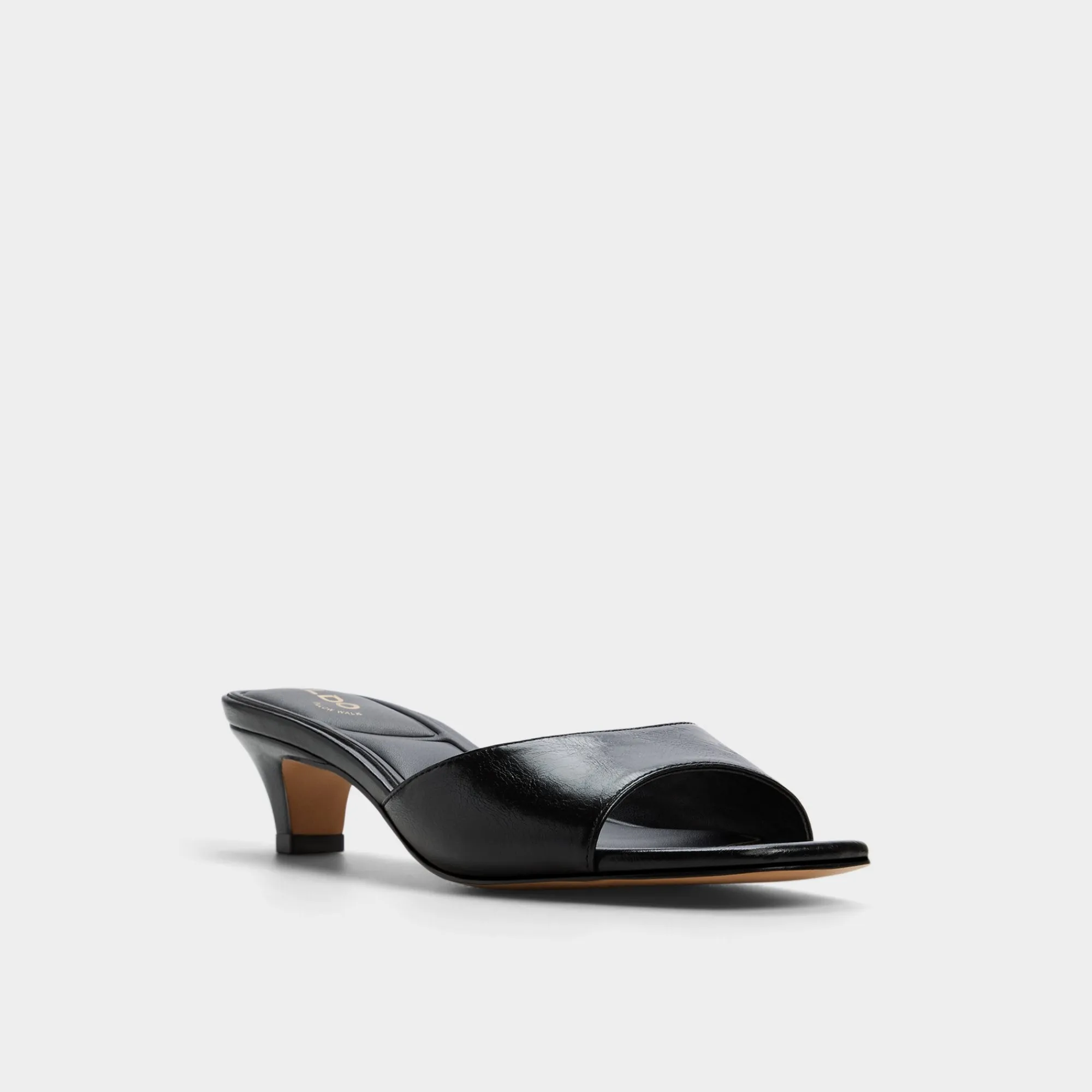 Kitten Heels^ALDO Haeden Black