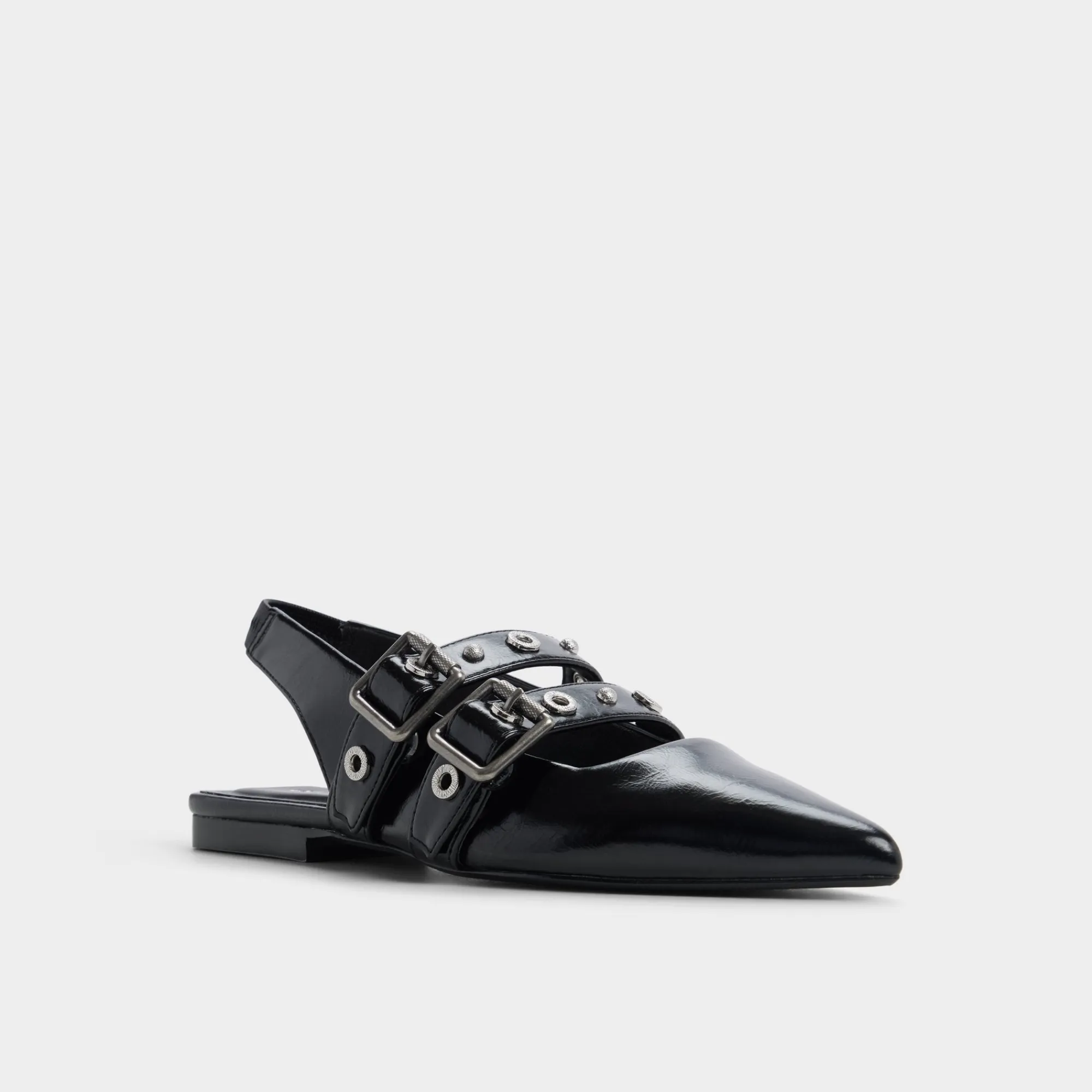 Ballet Flats^ALDO Lotheillan Black