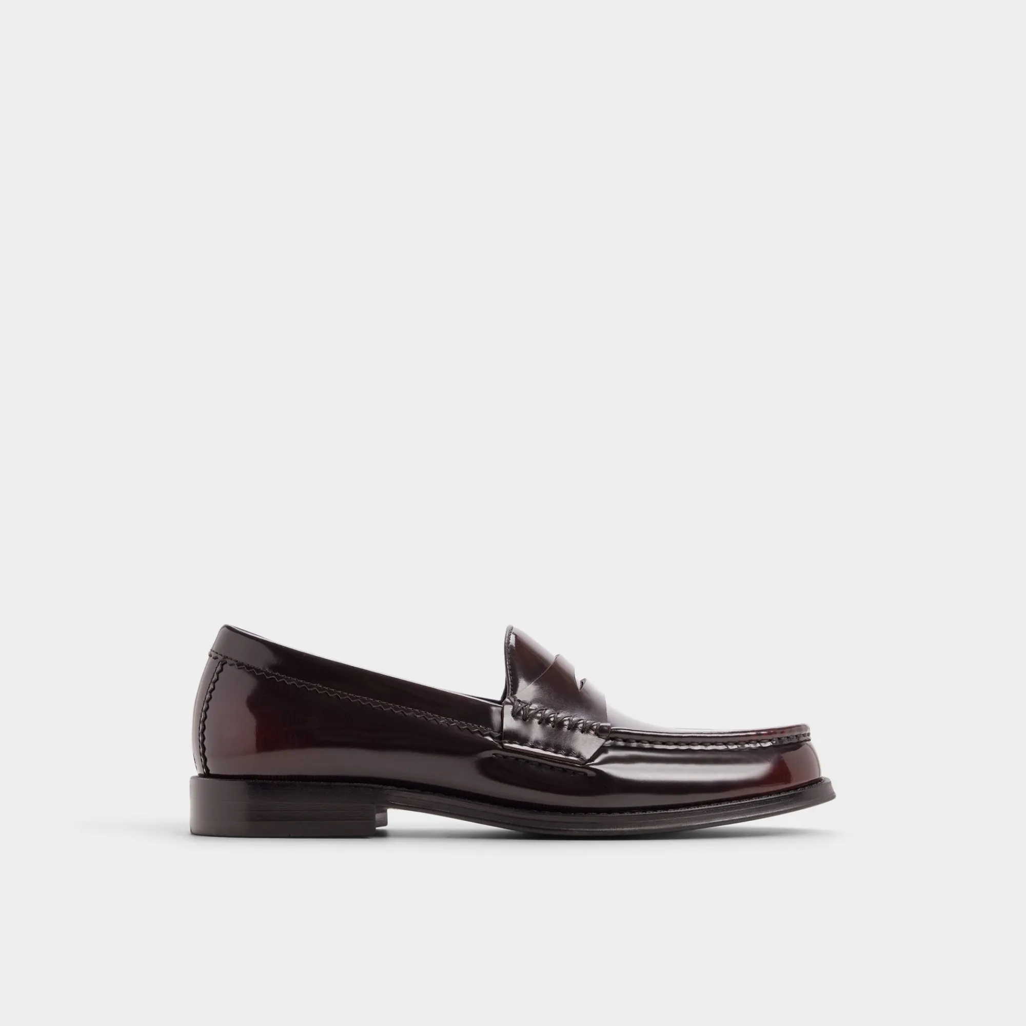 Loafers|Dress Shoes^ALDO Ludovik Bordo