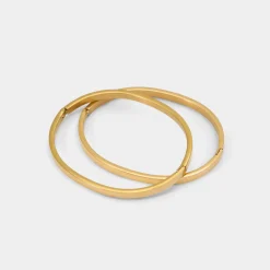 Accessories^ALDO Phantom Gold