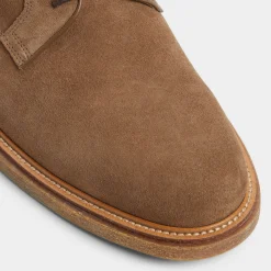 Oxfords|Casual Shoes^ALDO Raiden