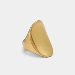 Accessories|Water Resistant Jewelry^ALDO Reigna Gold