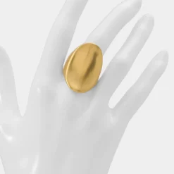 Accessories|Water Resistant Jewelry^ALDO Reigna Gold