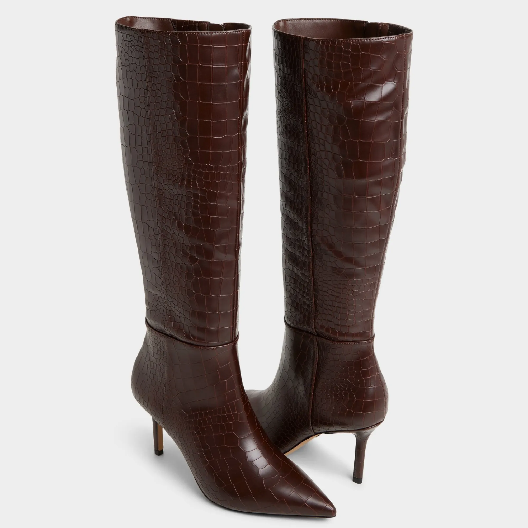 Dress Boots|Tall Boots^ALDO Saphiria Dark brown