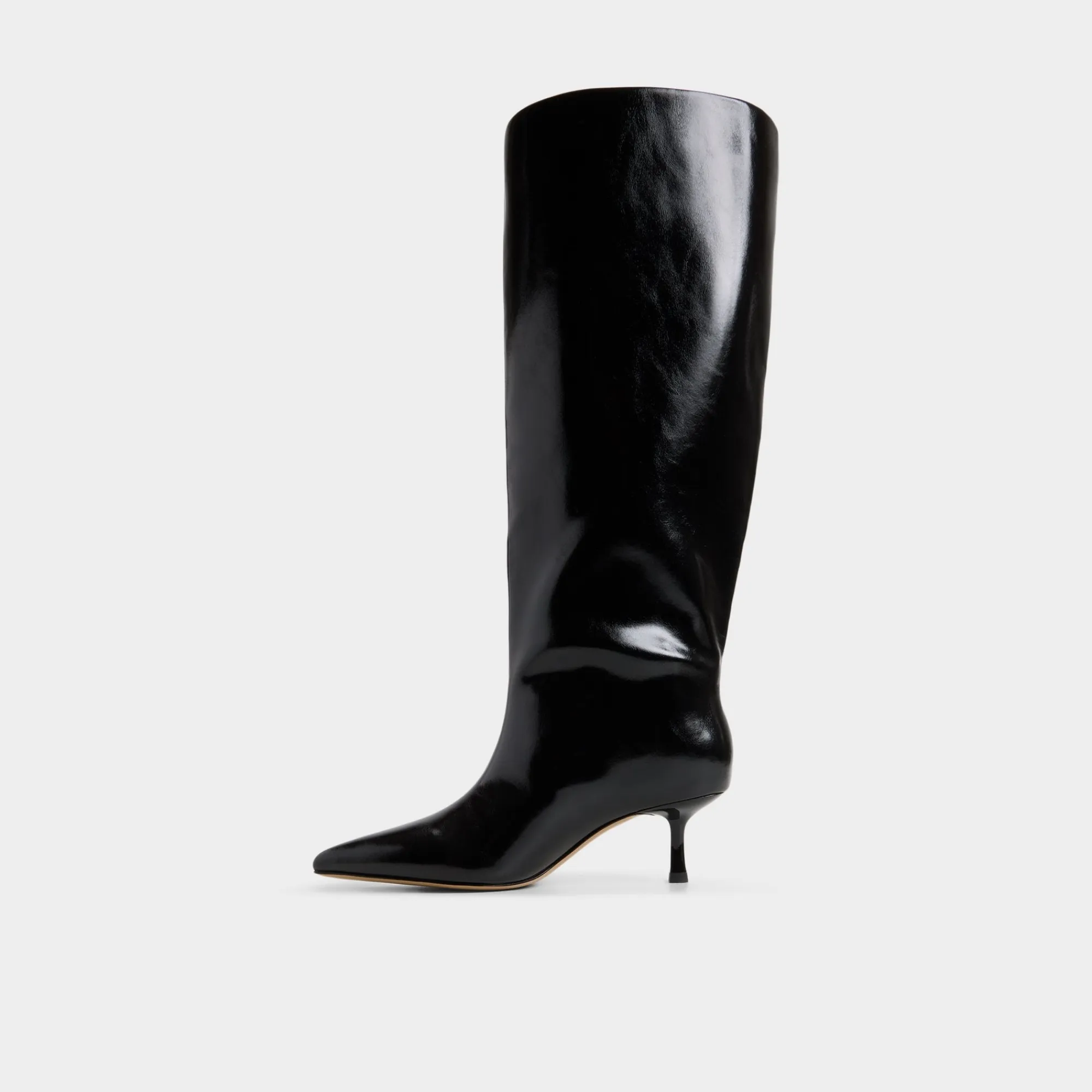 Black Boots|Dress Boots^ALDO Selora-wc Black