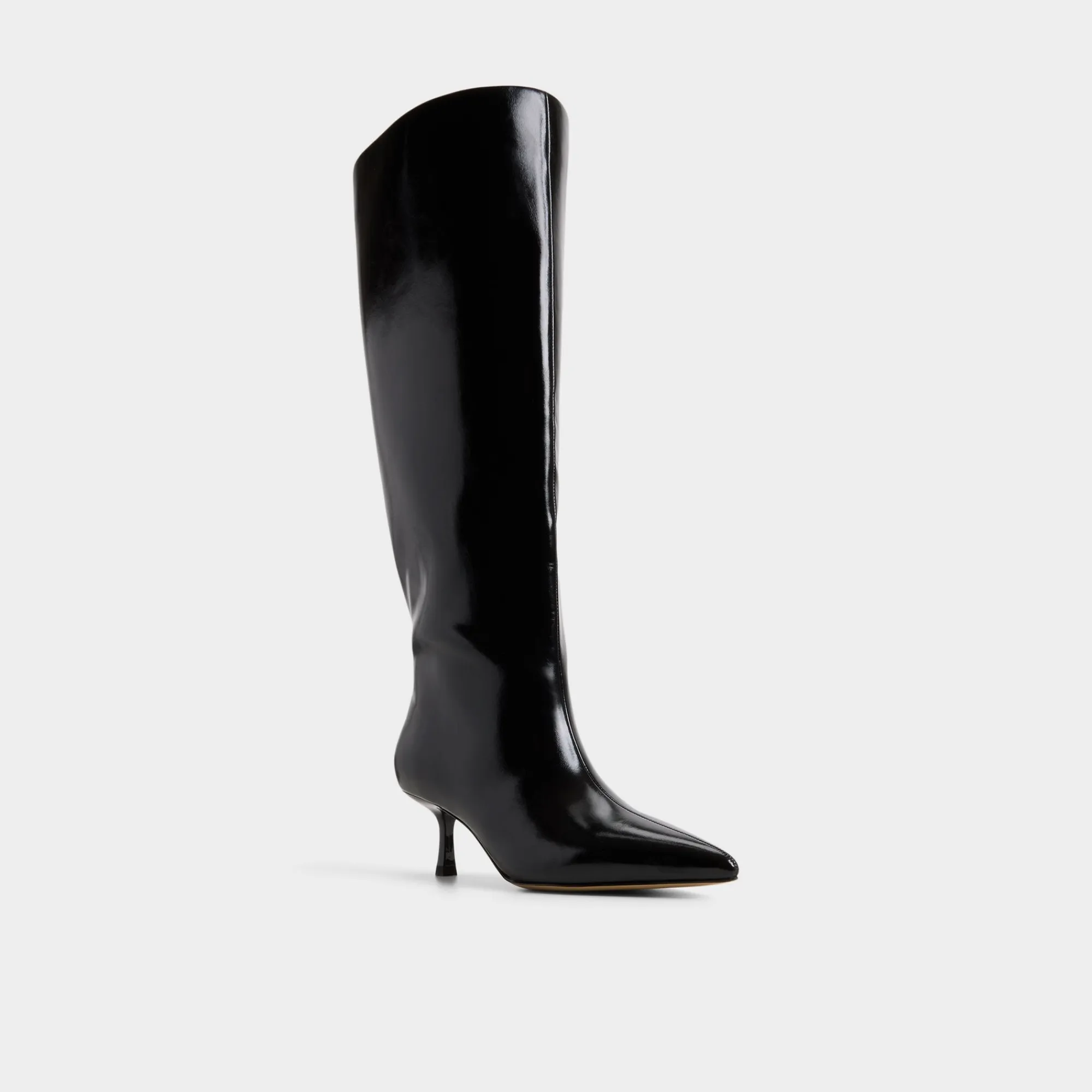 Black Boots|Dress Boots^ALDO Selora-wc Black