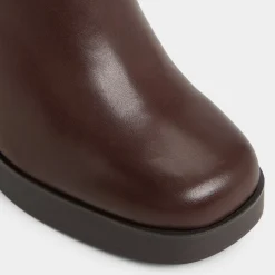 Ankle Boots^ALDO Seraphica Other brown