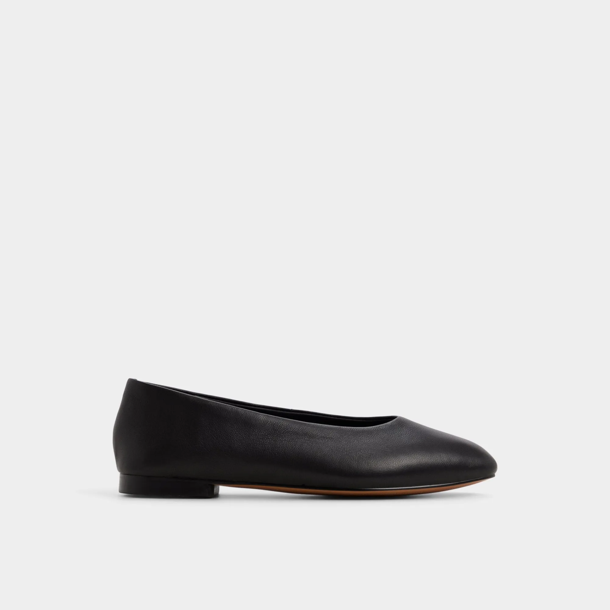 Ballet Flats^ALDO Seviameth Black