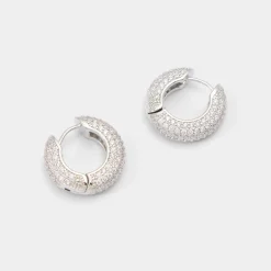 Accessories|Earrings^ALDO Strigidae Silver/clear multi