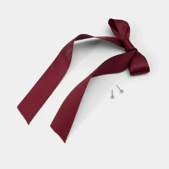 Bag Charms|Bag Charms^ALDO Tinnie Bordo
