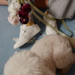 Sneakers^ALDO Uptownn