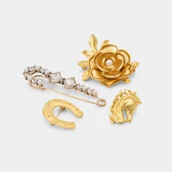 Accessories|Pins & Brooches^ALDO Wildatheart